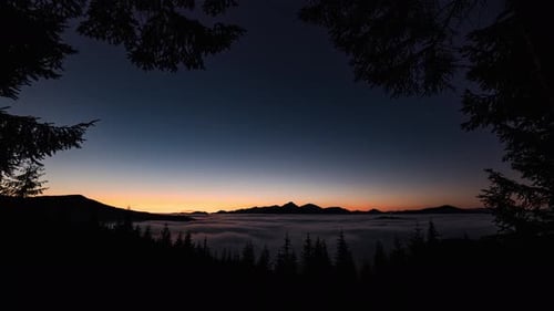 Tôt le matin dans une forêt magique avec des étoiles, un ciel étoilé, des nuages brumeux dans des montagnes sauvages,