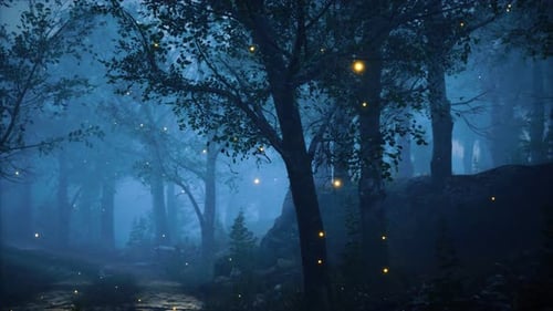 Foreat at Hight with Bright Moon Light