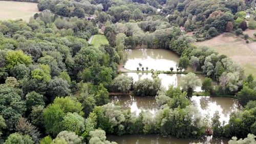Luftaufnahme von oben auf Landschaft mit Wald und See,