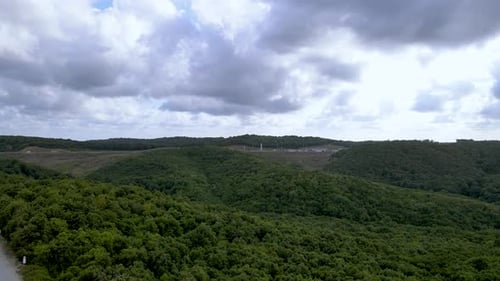 Drone flight over the north Istanbul forest. Cloudy sky and green nature