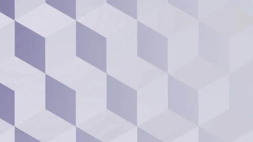 Digital generated video of various shape