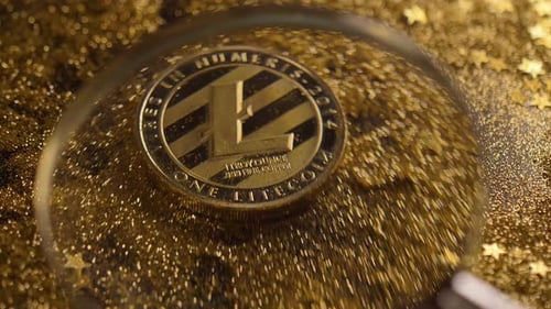 La loupe Macro Flow Focus passe au modèle réel Litecoin