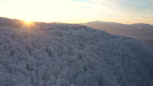 Winter Sunrise Above The Mountain Forest