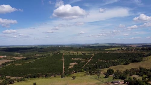 Aerial View of Green Farmland on Sunny Day