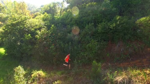 Man jogging on forest path