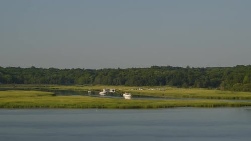 Pedestal Down Lowering Aerial View Green Grass Reeds on Bay Near a Forest