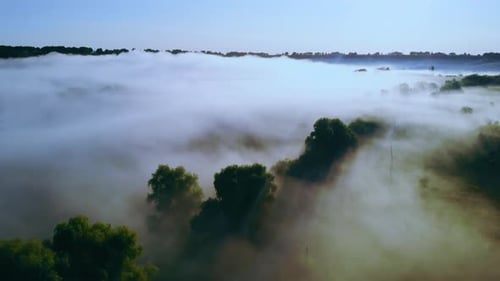 Forest in the Fog Aerial View