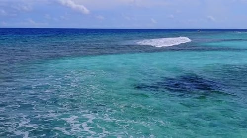 Drone landscape of tourist beach wildlife by sea and sand background