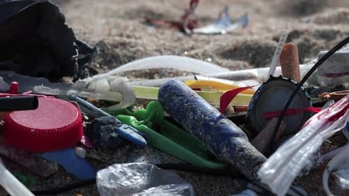 Plastic Discarded on Beach