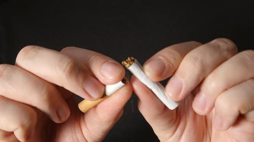 Young Adult Holds A Cigarette At Hands And Break It