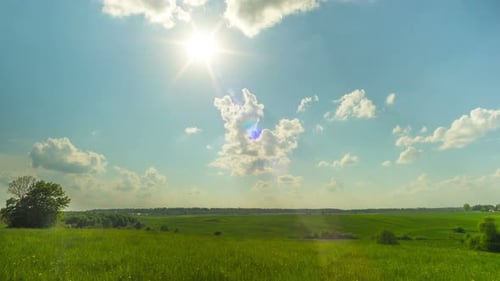 Summer Landscape and the Sun