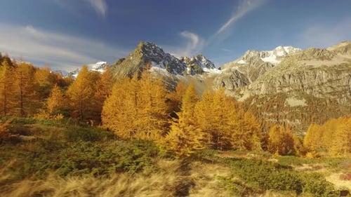 Side POV Walking on Fall Woods Path Near Trees with Sun and Snowy Mounts