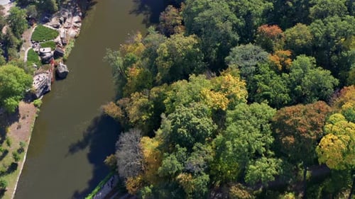 Beautiful flight above the trees. Autumn forest.