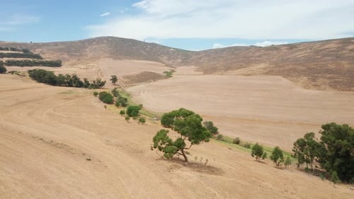 Fliegen über Bäumen auf dem Hügel und Vegetation unten