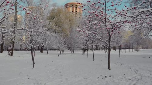 Luftaufnahme des Winterparks in St.
