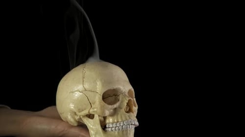A skull on human hand.
