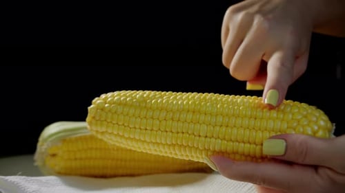 Fresh Corn on the Cob Being Prepared