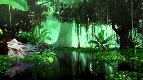 Jungle and environment