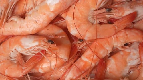 Close-Up View of Cooked Orange Shrimp
