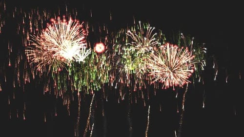 Vibrant Fireworks Explosions on a Dark Sky for Celebrations