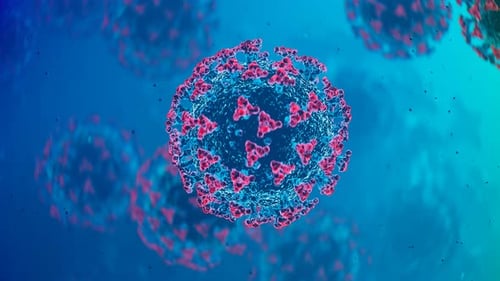 Animated 3D Rendering of Virus Pathogen Cell