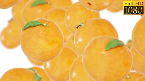 Pack de bucles de fondo naranjas V1