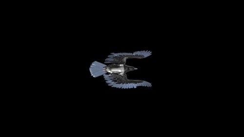 Silver Eagle - Fliegender Übergang - Ansicht von oben