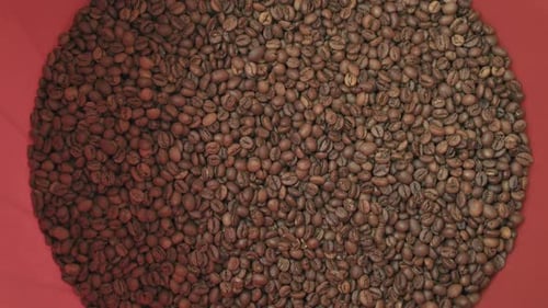 Antecedentes de los granos de café