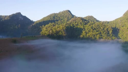 Aerial top view of forest trees and green mountain hills with sea fog