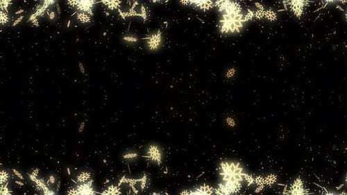 Golden Glowing Snowflakes Falling Frame Animation