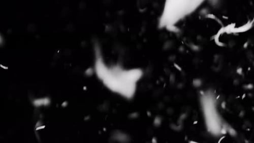 Abstract Feathers and Particles Floating in Dark Space