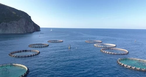 Aquaculture Aerial View