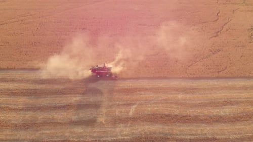 Aerial View Combine Harvester Agriculture Machine Harvesting Golden Ripe Wheat Field