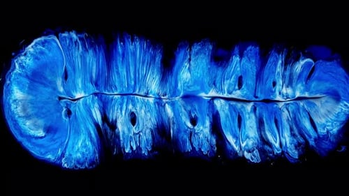 Blau und Weiß Kreative abstrakte Acryl-Tapete Textur Acrylmalerei auf Leinwand