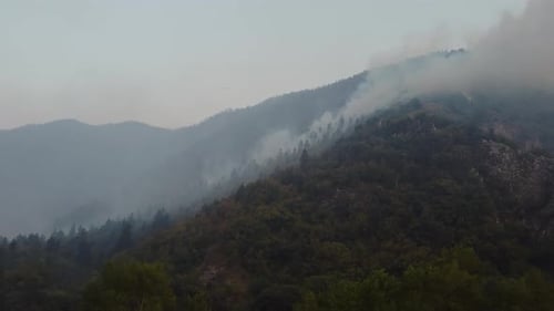 Fire in the forest aerial view. Cinematic aerial shot fire in the forest.