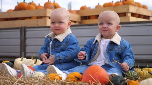 Two Cute Infants among Pumpkins and Straw
