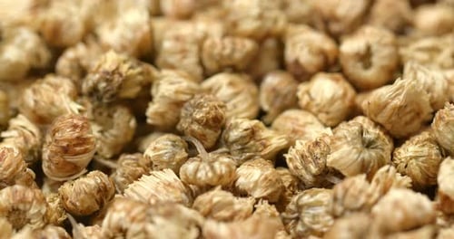 Macro Shot of Dried Chrysanthemum Flowers