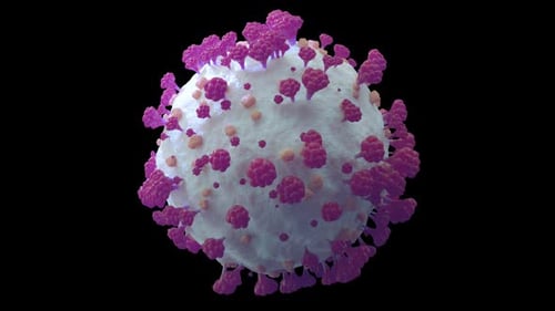 Corona Virus Include Alpha