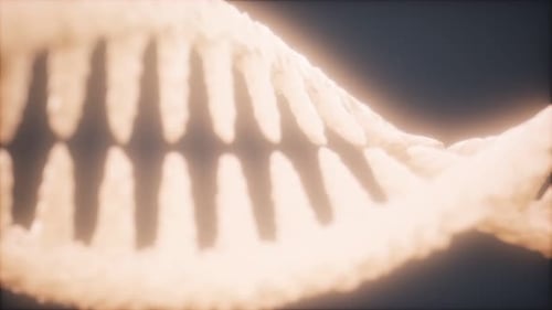 Molécule d'ADN sur fond gris
