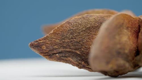 Star Anise, Spice Rotates on the Table on Blue Background