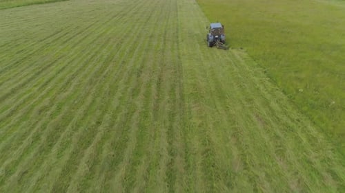 Le tracteur tond l'herbe