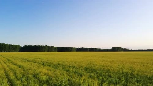 Resolución de vista aérea de primer plano del Zumbido