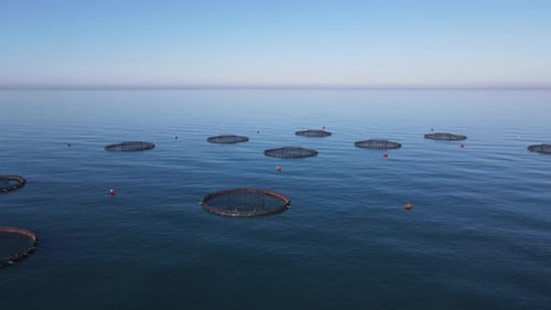 Aquaculture: Circular Fish Farms in Open Ocean, Aerial