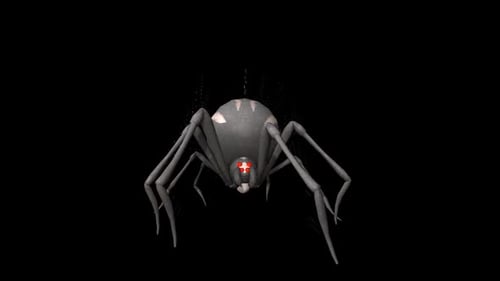 Spider Walk 1