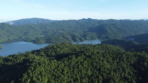 Aerial view green forest tree and calm lake