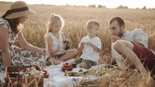 Happy Young Family with Daughter and Son on a Picnic in a Wheat Field Eating and Talking