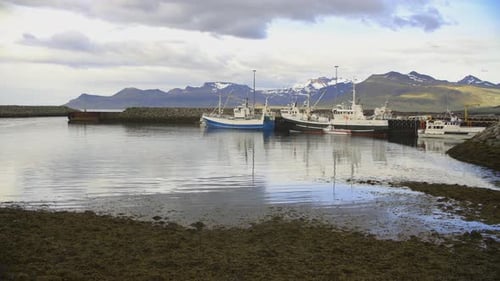 Northern Icelandic Port With Fishing Boats And Little Ships And Snow Mountains