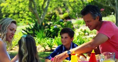 Happy family interacting with each other while having meal in park 4k