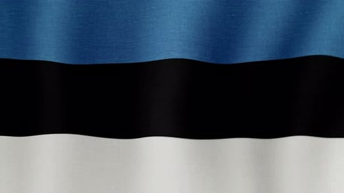 Realistic Waving Estonian Flag Fabric Loop