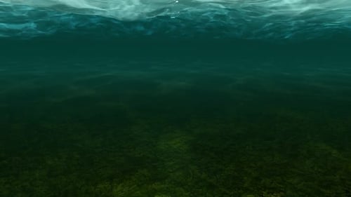 Unterwasser-Szene